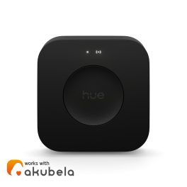 Hue Bridge Pro