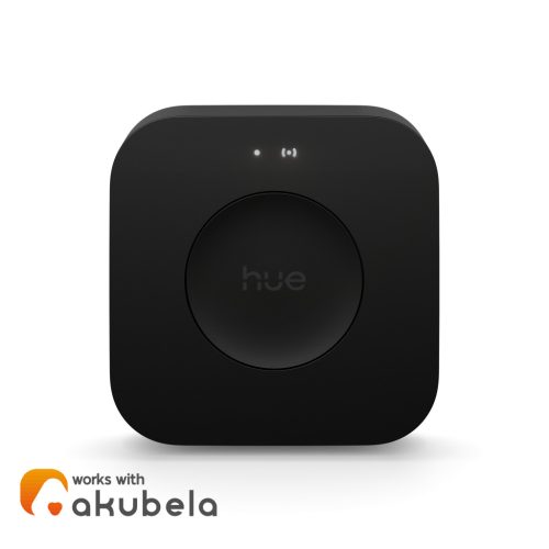 Hue Bridge Pro