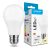 Modee Lighting LED Izzó Globe A60 11W E27 200° 4000K (1055 lumen) ERP