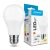 Modee Lighting LED Izzó Globe A60 8,5W E27 200° 4000K (806 lumen) ERP